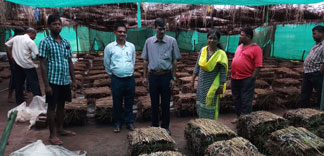 Krishi Vigyan Kendra Nayagarh